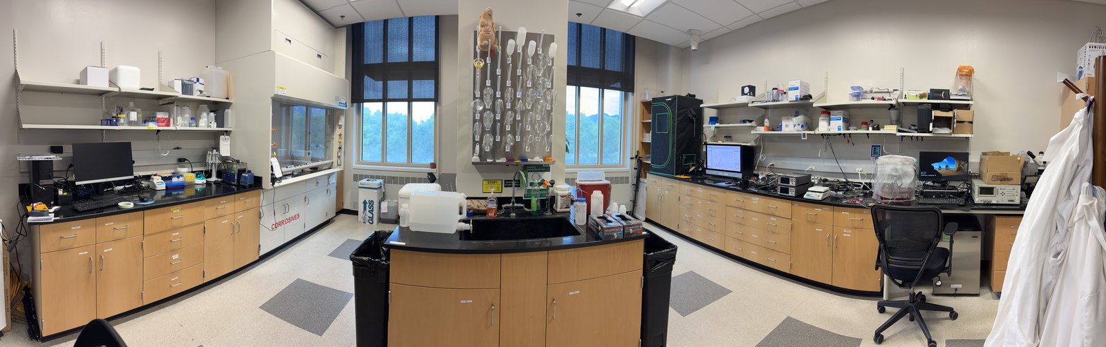 Wet lab bench with a chemical fume hood, chemical storage cabinets, a sink station, and an electronics workbench with computer monitors and test equipment.
