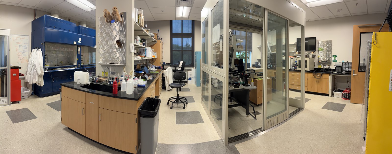 Lab space with a chemical fume hood, glassware drying rack, sink, and a glass-enclosed printing setup with additional benches and equipment beyond.